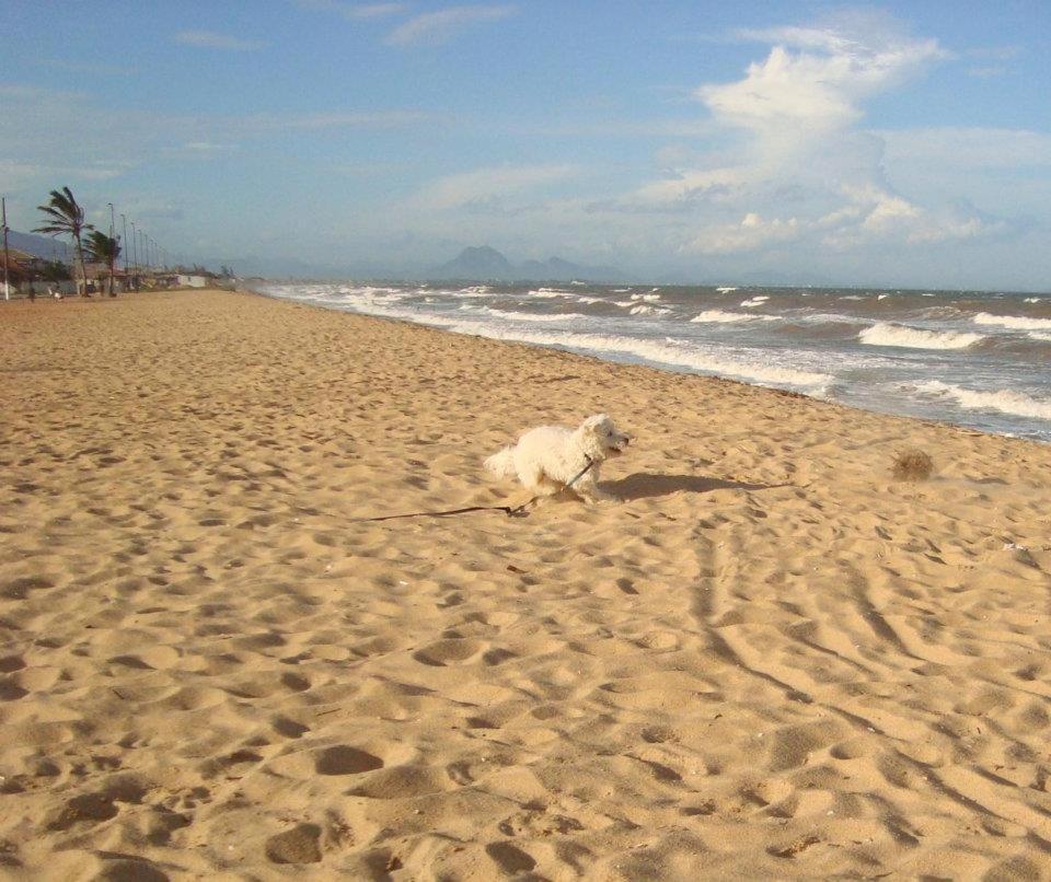 Casa De Praia - Verao Vermelho I - Cabo Frio - Unamar Экстерьер фото